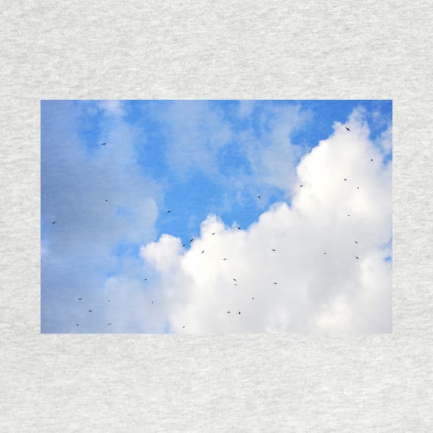 Swallows wheeling among the clouds by LaurieMinor